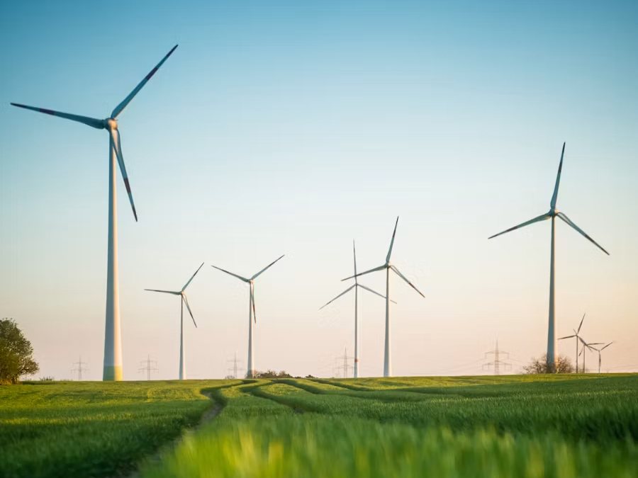 Wind turbines in a field at dusk